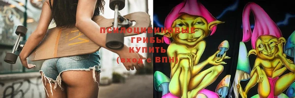 гидра Баксан
