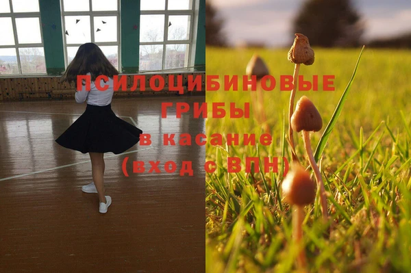 гидра Баксан