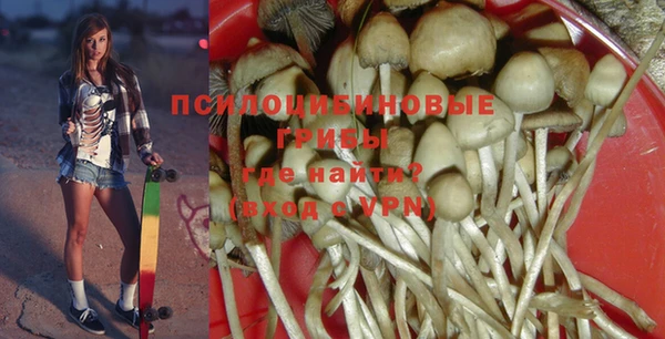 гидра Баксан