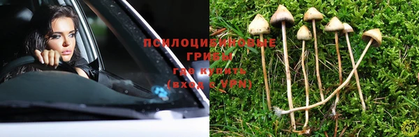 гидра Баксан